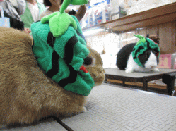 140601h.gif