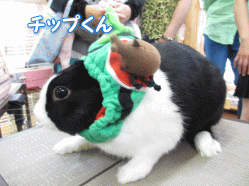 140601i.gif