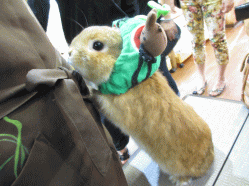 140602e.gif