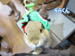140602f.gif