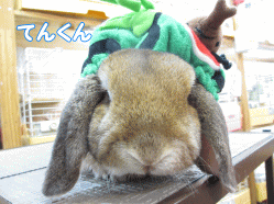 140605b.gif