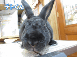 140607e.gif
