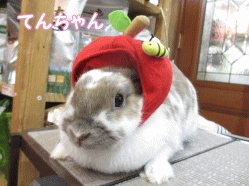 140608a.gif