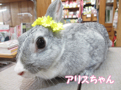 140608e.gif