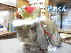 140608g.gif