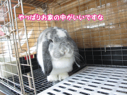 140609b.gif