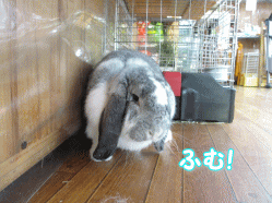 140609e.gif