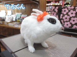 140613c.gif