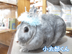 140615b.gif