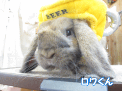 140615c.gif