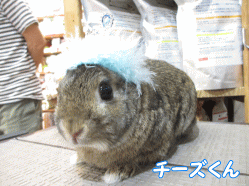 140615d.gif
