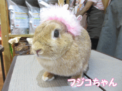 140615f.gif