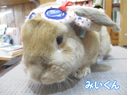 140615h.gif