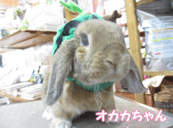 140615a.gif