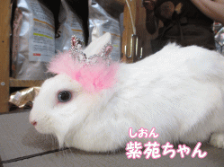 140615e.gif