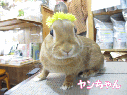 140615i.gif