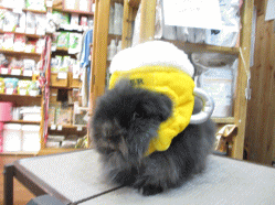 140616.gif