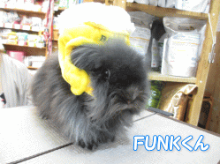 140616a.gif
