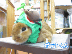 140616e.gif