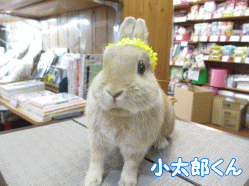 140619b.gif