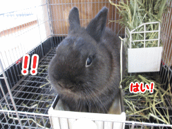 140619i.gif