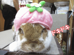 140620b.gif