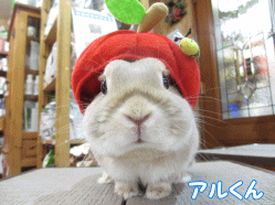140622e.gif