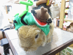 140622h.gif