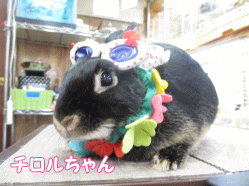 140622i.gif