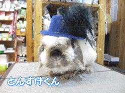 140624a.gif