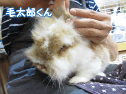 140626i.gif