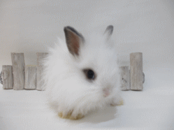 140627e.gif