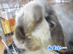 140629l.gif