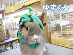 140630a.gif