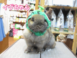 140630c.gif
