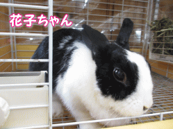 140630e.gif