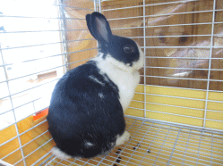 140630f.gif