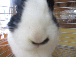 140630g.gif
