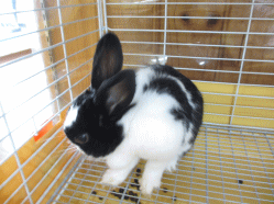 140630h.gif