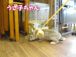 14068e.gif