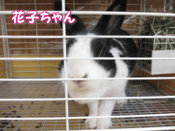 140703c.gif