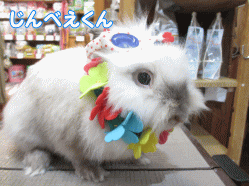 140704c.gif