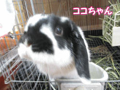 140705k.gif