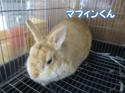 140705m.gif