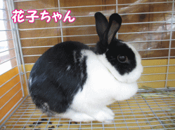 140705q.gif