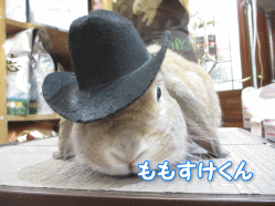 140705s.gif