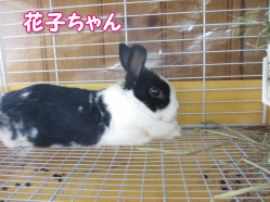 140706c.gif