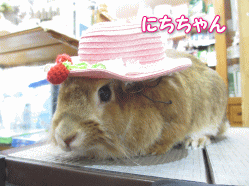 140707 .gif