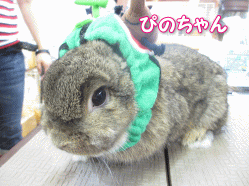140707 10.gif