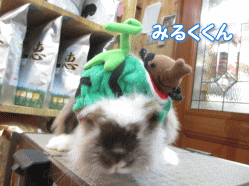 140707 12.gif